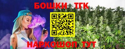 сатива Лесосибирск