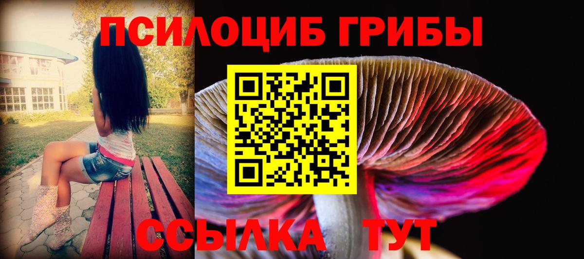 Псилоцибиновые грибы мухоморы Дивногорск