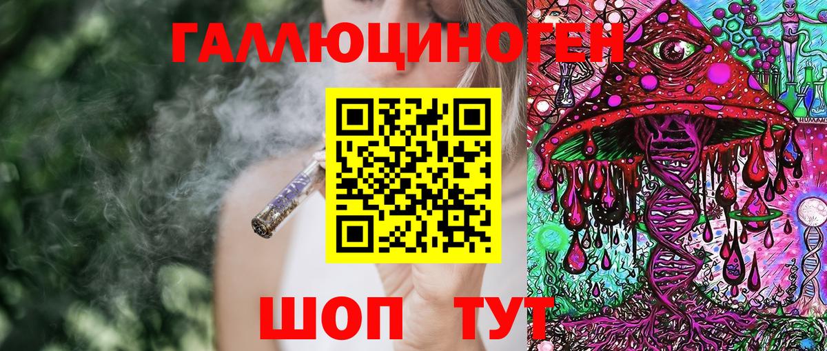 Дивногорск  Псилоцибиновые грибы мицелий  Вход с VPN 